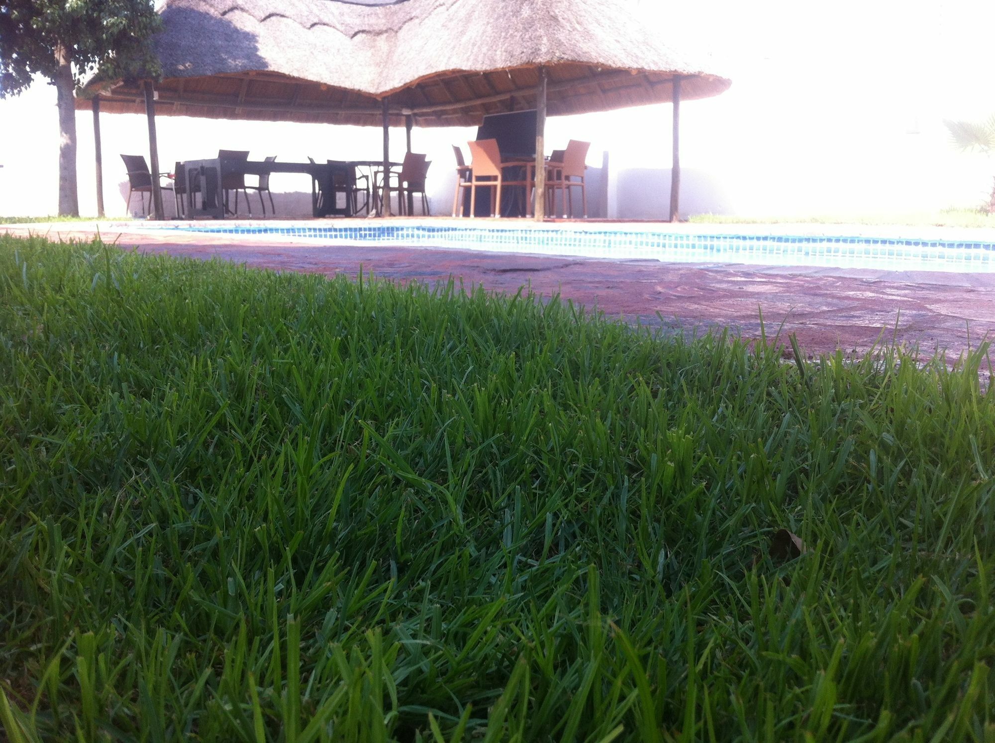 Cosy Palms Bed and Breakfast Gaborone Exteriör bild