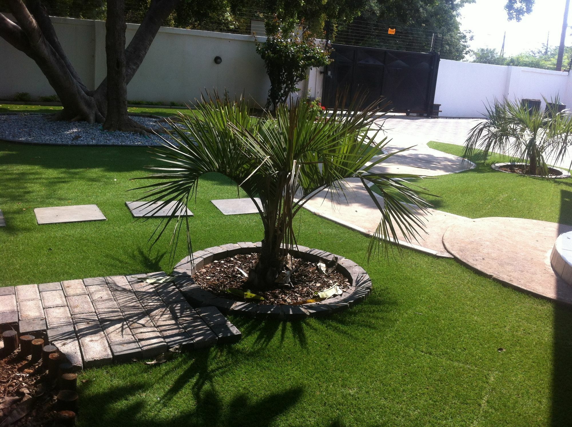 Cosy Palms Bed and Breakfast Gaborone Exteriör bild