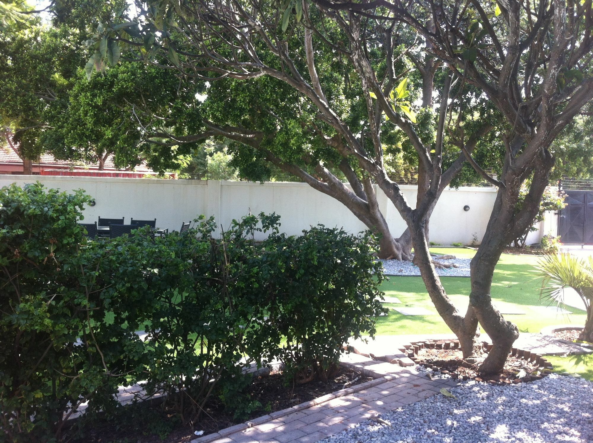 Cosy Palms Bed and Breakfast Gaborone Exteriör bild